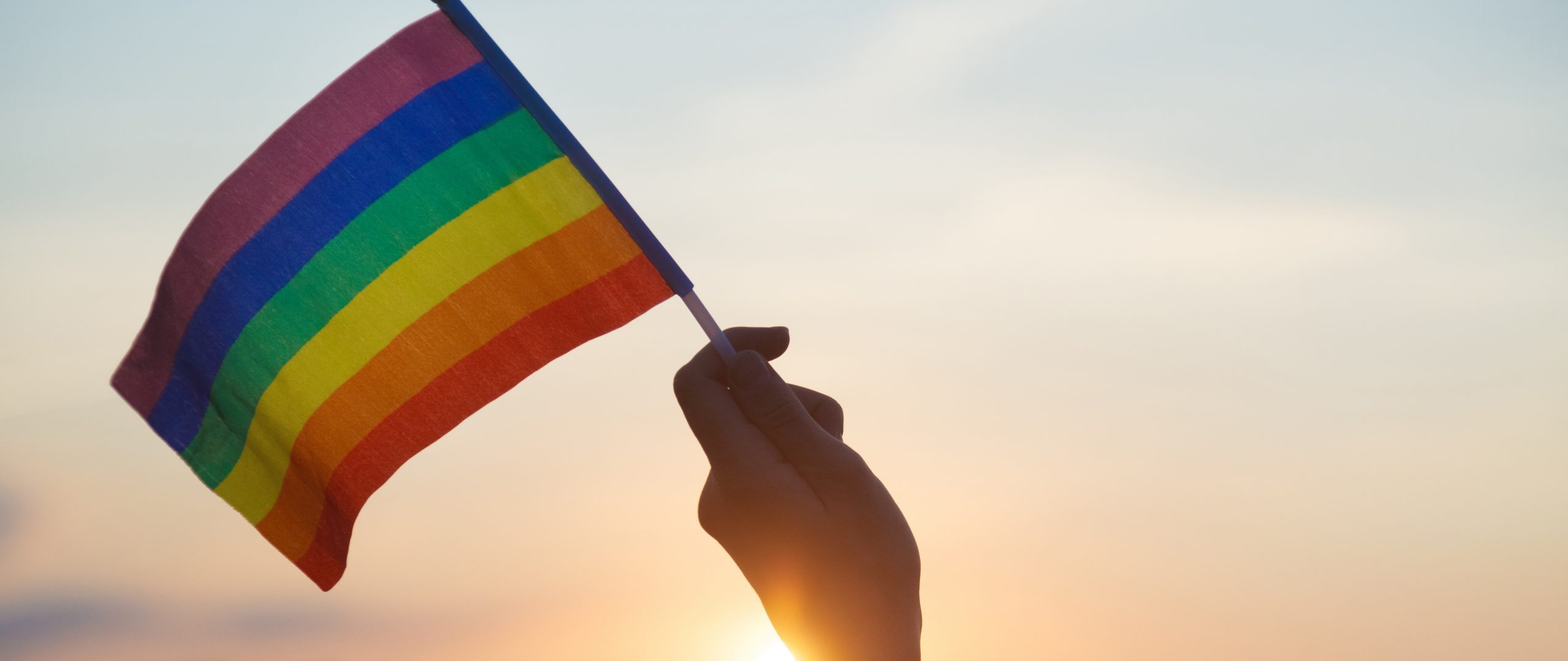 Transgender woman holding rainbow flag on sky background, LGBTQ pride, parade, march concept